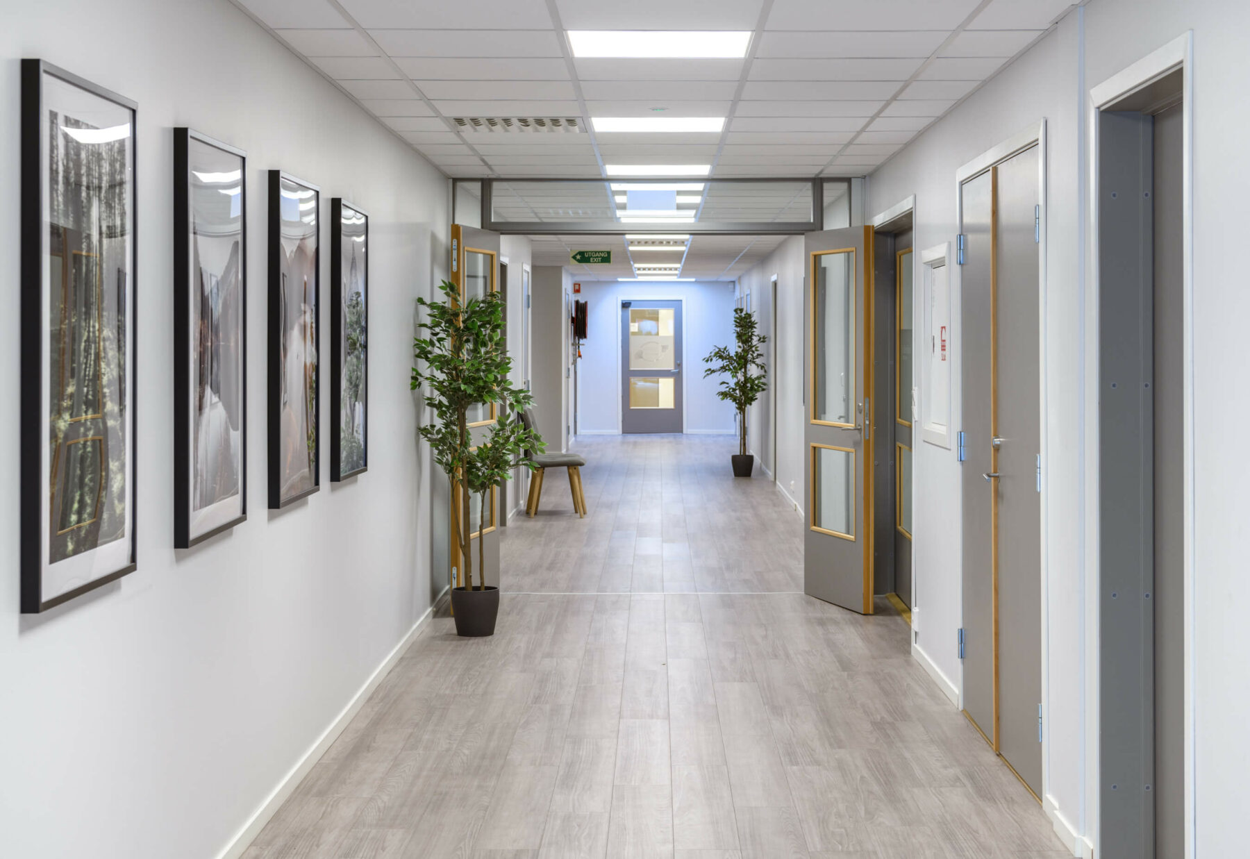 Gang med lys parkett og bilder på vegg med flere dører på begge sider samt to potteplanter langs vegg og en stol.