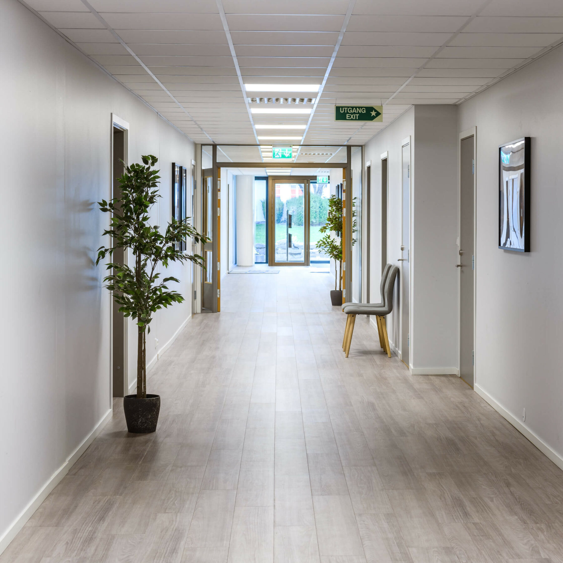 Gang med utsikt til utgangsdør og flere dører på hver side med bilder på vegg og planter langs vegg og to stoler.